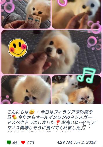 ネクスガードスペクトラ 口コミ