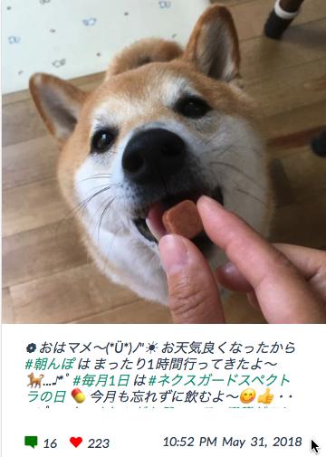 ネクスガードスペクトラ 口コミ