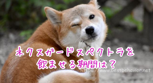 ネクスガードスペクトラ 期間