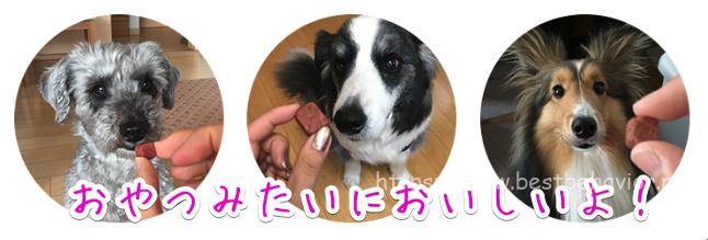 ネクスガードスペクトラ 食いつき