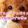 ネクスガードスペクトラ通販