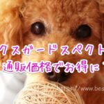 ネクスガードスペクトラ通販