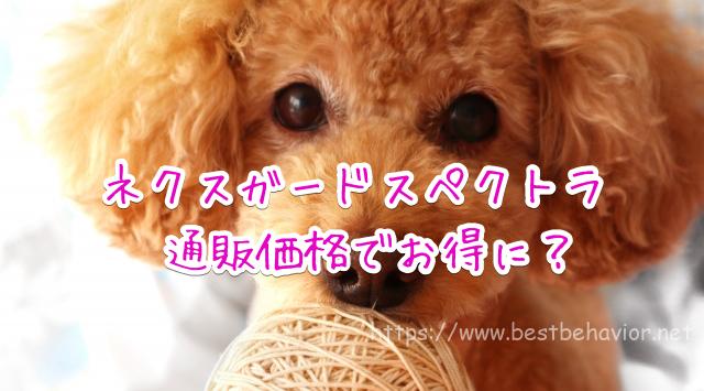 ネクスガードスペクトラ通販
