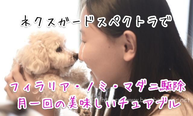 ネクスガードスペクトラ 効果