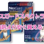 ネクスガードスペクトラ 通販