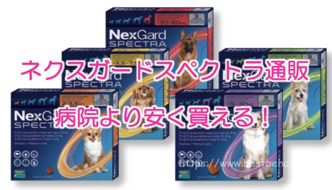 ネクスガードスペクトラ 通販