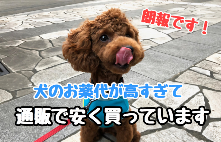 犬の薬